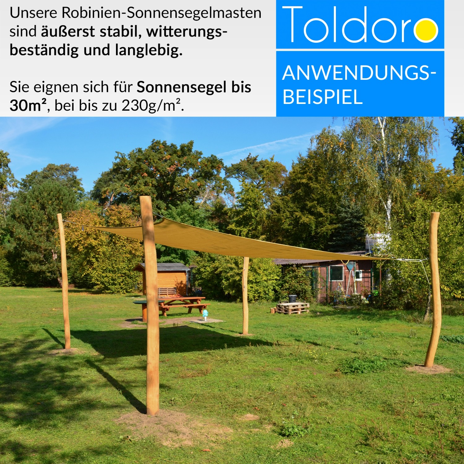 Toldoro 3m Sonnensegelmast Aus Holz Robinie mit Fester Öse Ø110140mm