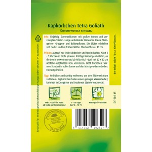 Samenpackung Quedlinburger Kapkörbchen 'Tetra Goliath', orange Blüten für Beet und Balkon.