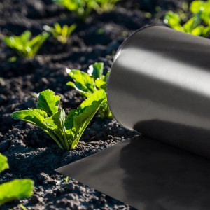Heissner PVC-Universalfolie, 600x100cm, 0,5mm, schwarz, als Unkrautsperre im Garten.
