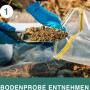 Entnahme einer Bodenprobe für den Ivario Bodentest Schadstoffe mit Spaten und Tüte.