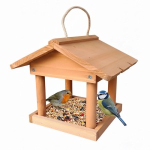 Orangefarbenes Vogelfutterhaus aus Tannenholz mit zwei Vögeln.