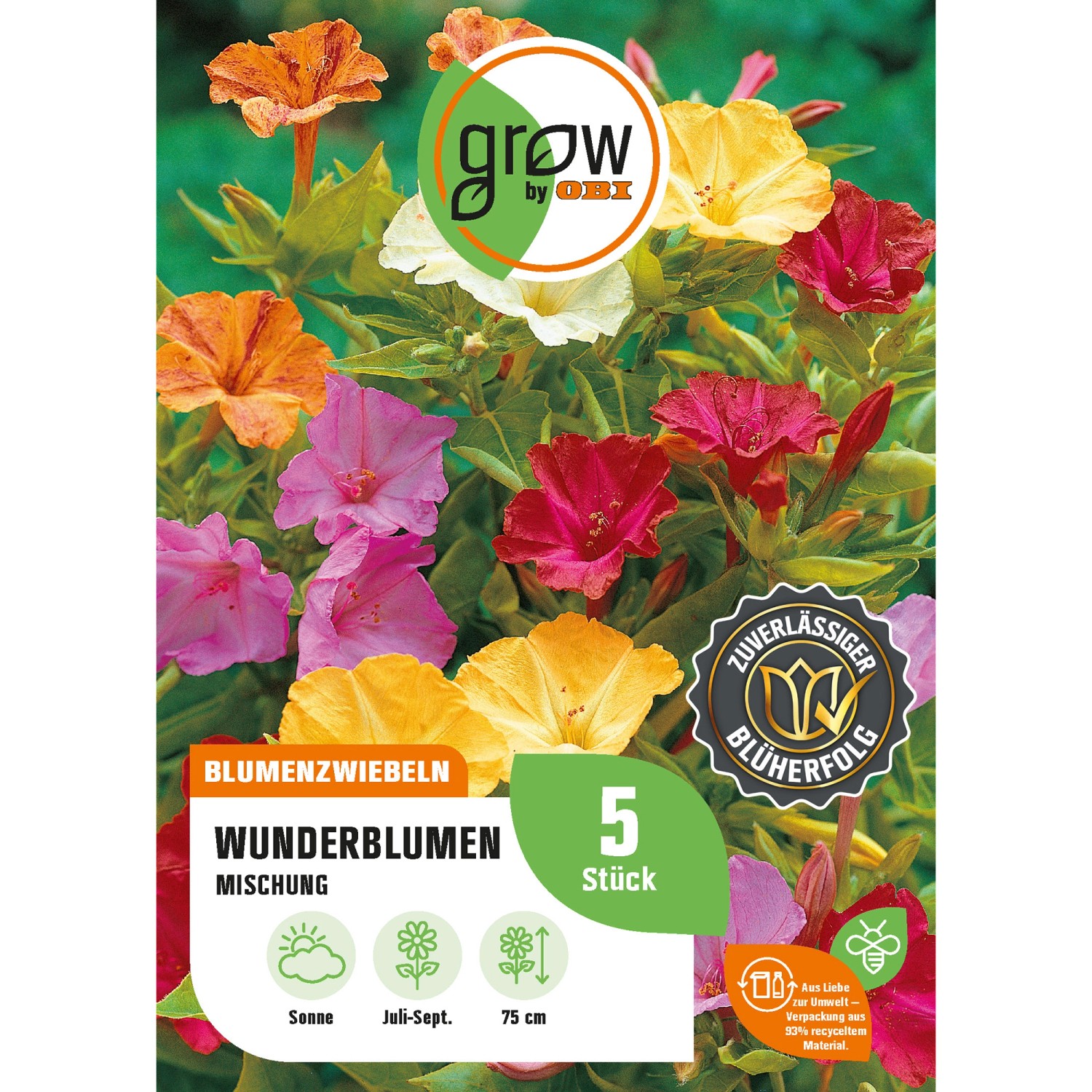 GROW by OBI Wunderblume Jalapa Mischung Höhe ca. 75 cm Mirabilis jalapa günstig online kaufen