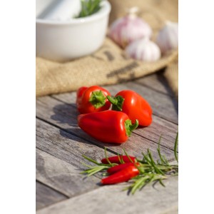Rote Snack-Paprika auf Holz mit Kräutern, ideal zum Rohverzehr. Fruchtgemüse für Garten und Balkon.