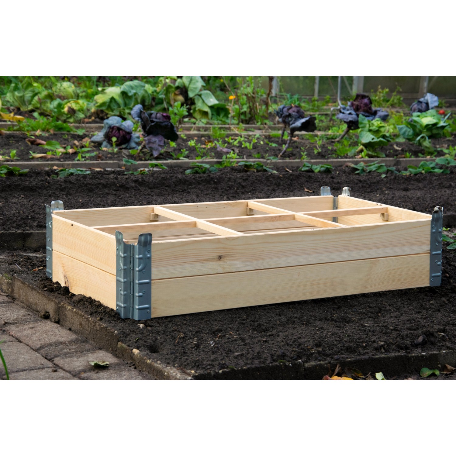 Frühbeet Untersatz Größe L aus Kiefernholz im Garten.