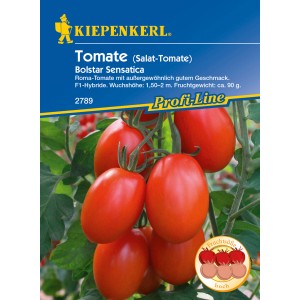 Kiepenkerl Salat-Tomate 'Bolstar Sensatica' mit roten, länglichen Früchten am Strauch.
