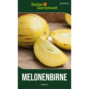Birnenmelone Pepino Samen: Gelbe, gestreifte Früchte, ganz und geschnitten, auf Holz. Exotische Gemüsesamen.