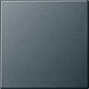 Gira Wippe System 55 in Anthrazit für Schalter und Taster.