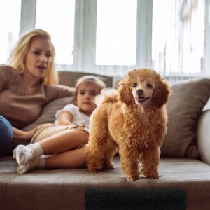 Relaxdays Hundetreppe Kunststoff Schwarz 3 Stufen Waschbar 30 cm x 35 cm x 45 cm 1,2 kg