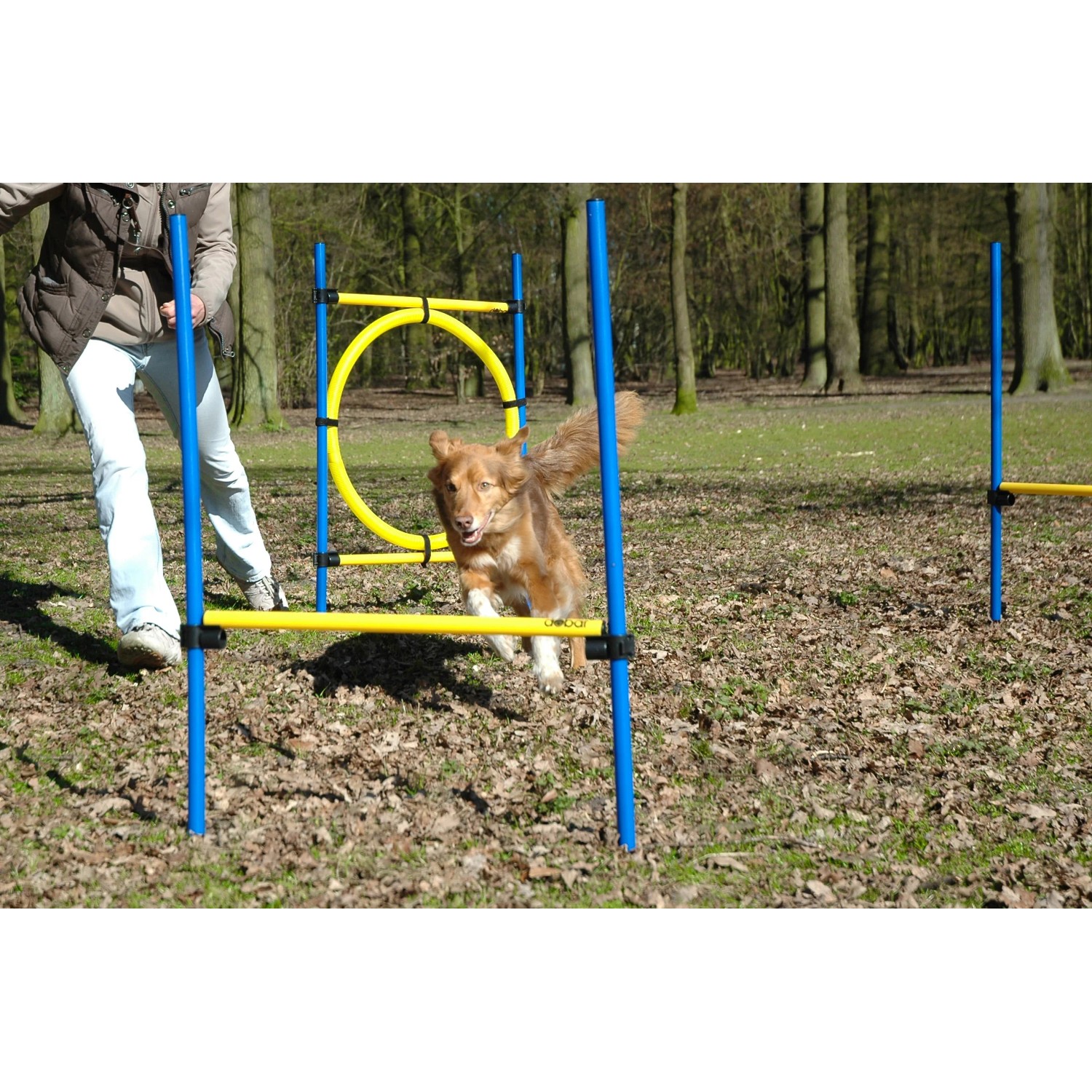 Hund springt durch Agility Sprung-Set (3-teilig) mit Hürden und Ring in Gelb/Blau.