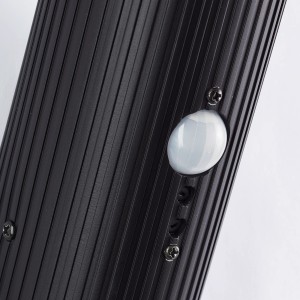 Detailaufnahme der schwarzen Brilliant Außenwandleuchte Cassio mit Bewegungsmelder.