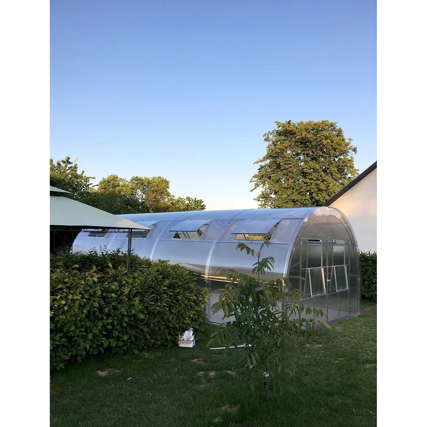 Garten Dream Gewächshaus Oasis 4x4m mit 6mm Polycarbonat_6