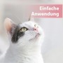 Katze blickt nach oben, Hinweis auf einfache Anwendung der Felisept Augenpflege-Pads.
