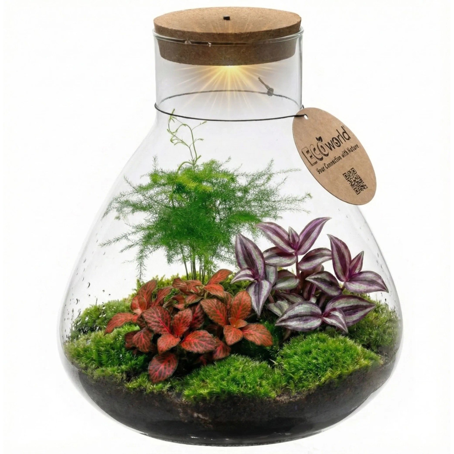 Vdvelde Pflanzen Terrarium Durchmesser 30 Cm   Pflanzensystem   Glas   DIY