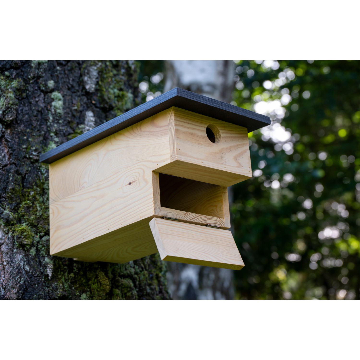 Dobar Nistkasten für Höhlenbrüter aus Kiefernholz (FSC®) an Baum befestigt.