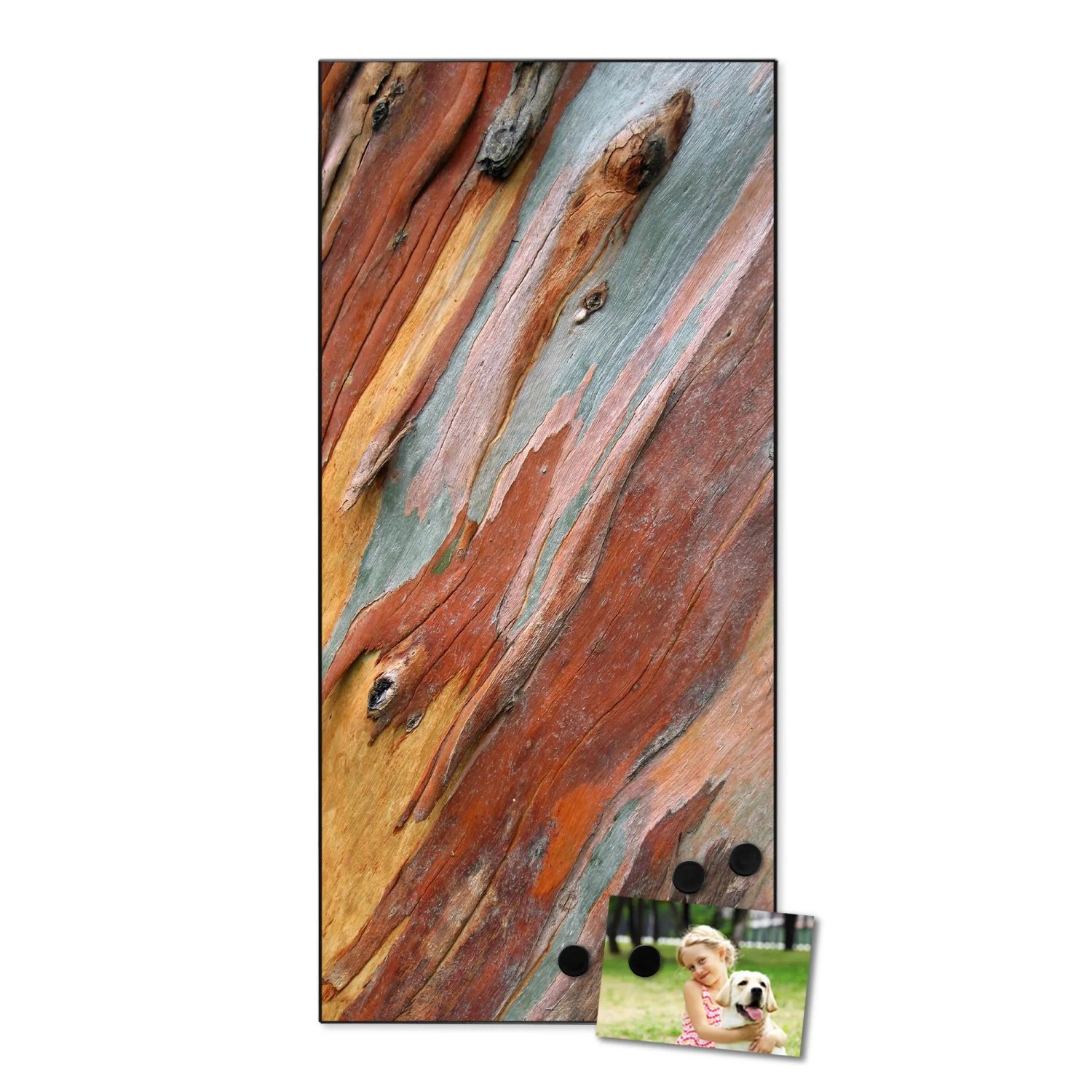 Banjado Magnettafel 37x78cm mit farbigem Holz Motiv, inkl. Magnete. Wanddekoration für Notizen und Fotos.