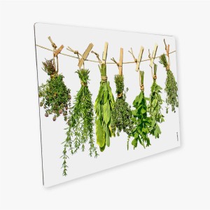 Myspotti Mini-Spritzschutzplatte mit Kräutermotiv, Küchenrückwand mit Kräuterleine Design.