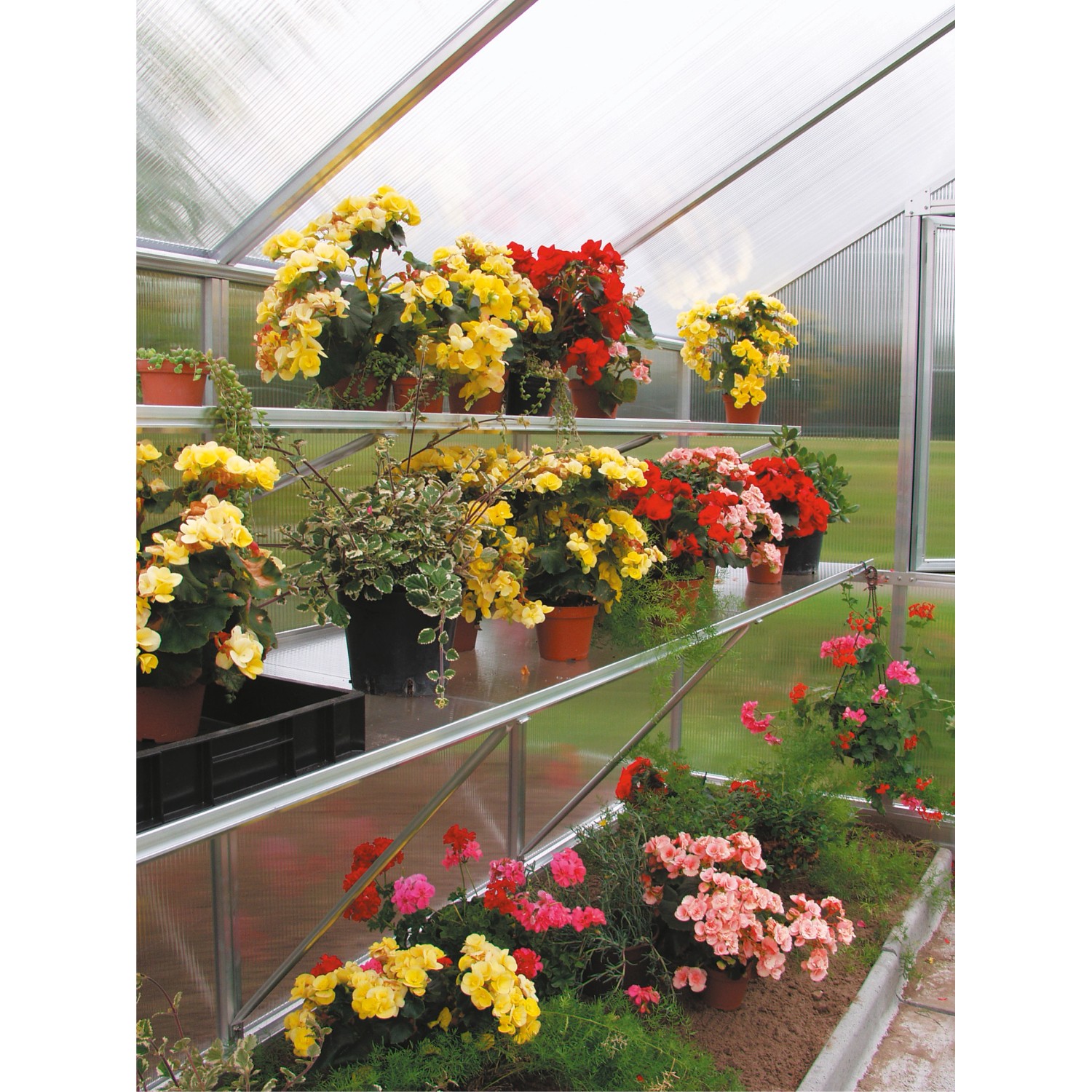 KGT Hängebord Rhodo III Alu blank, 26 cm tief, im Gewächshaus mit Pflanzen.