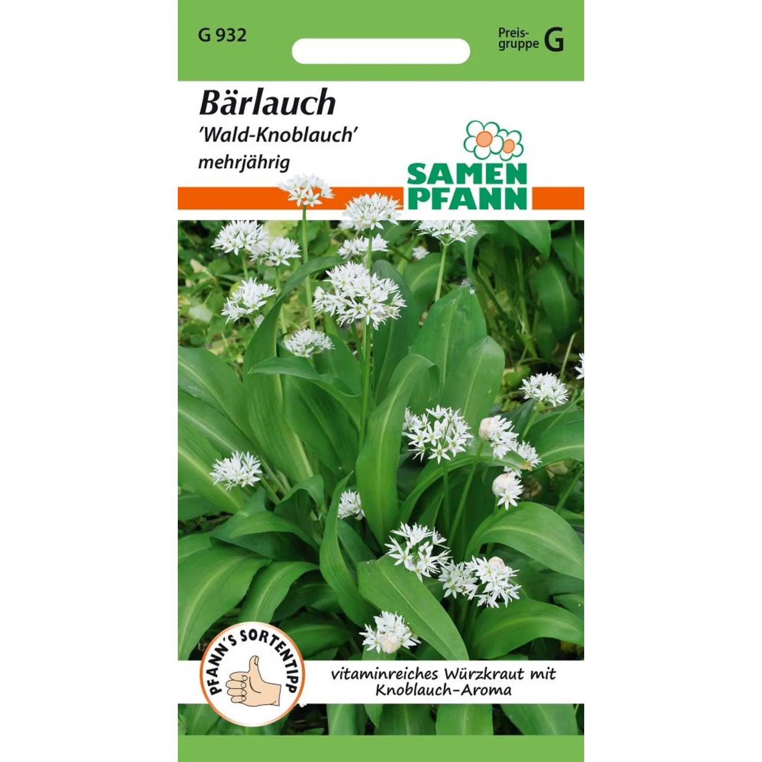 SAMEN PFANN Bärlauch günstig online kaufen