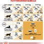 Fütterungstabelle für Royal Canin Maine Coon Adult Katzenfutter, Dosierungsempfehlung nach Gewicht und Aktivität.