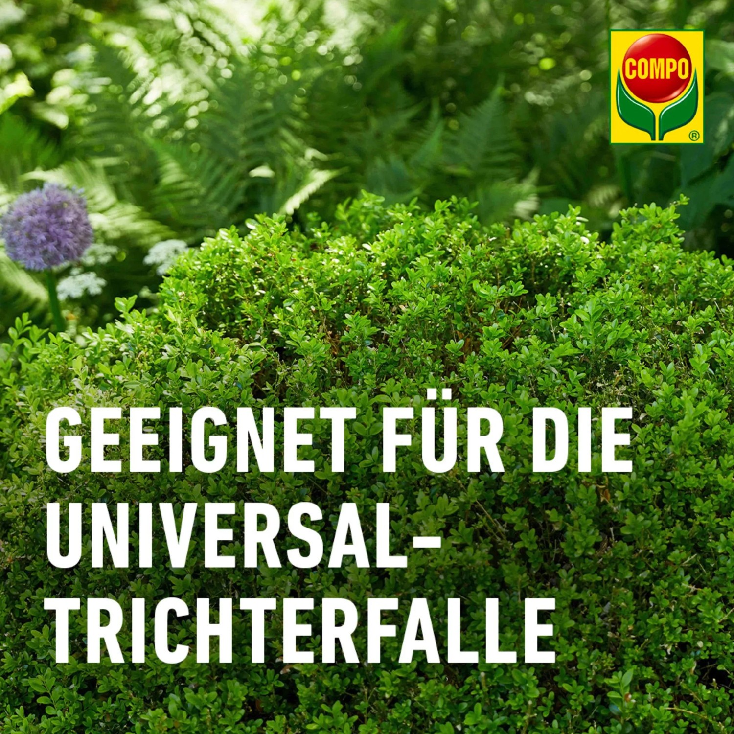 Compo BIO Buchsbaumzünsler Lockstoff für Universal-Trichterfalle, 4 Stück.