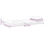 Diagramm einer vidaXL Adirondack-Auflage in Anthrazit. Maße: 126x58x4,5 cm, Kopfkissen 50x20 cm. Gartenstuhlauflage.