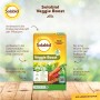 Solabiol Veggie Boost Universaldünger 250ml Packung für gesundes Pflanzenwachstum.