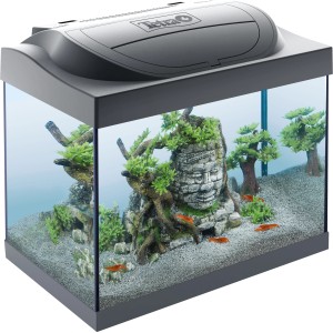 Tetra Starter Line LED Aquarium 30 l, Komplettset mit Deko und energiesparender LED-Beleuchtung.