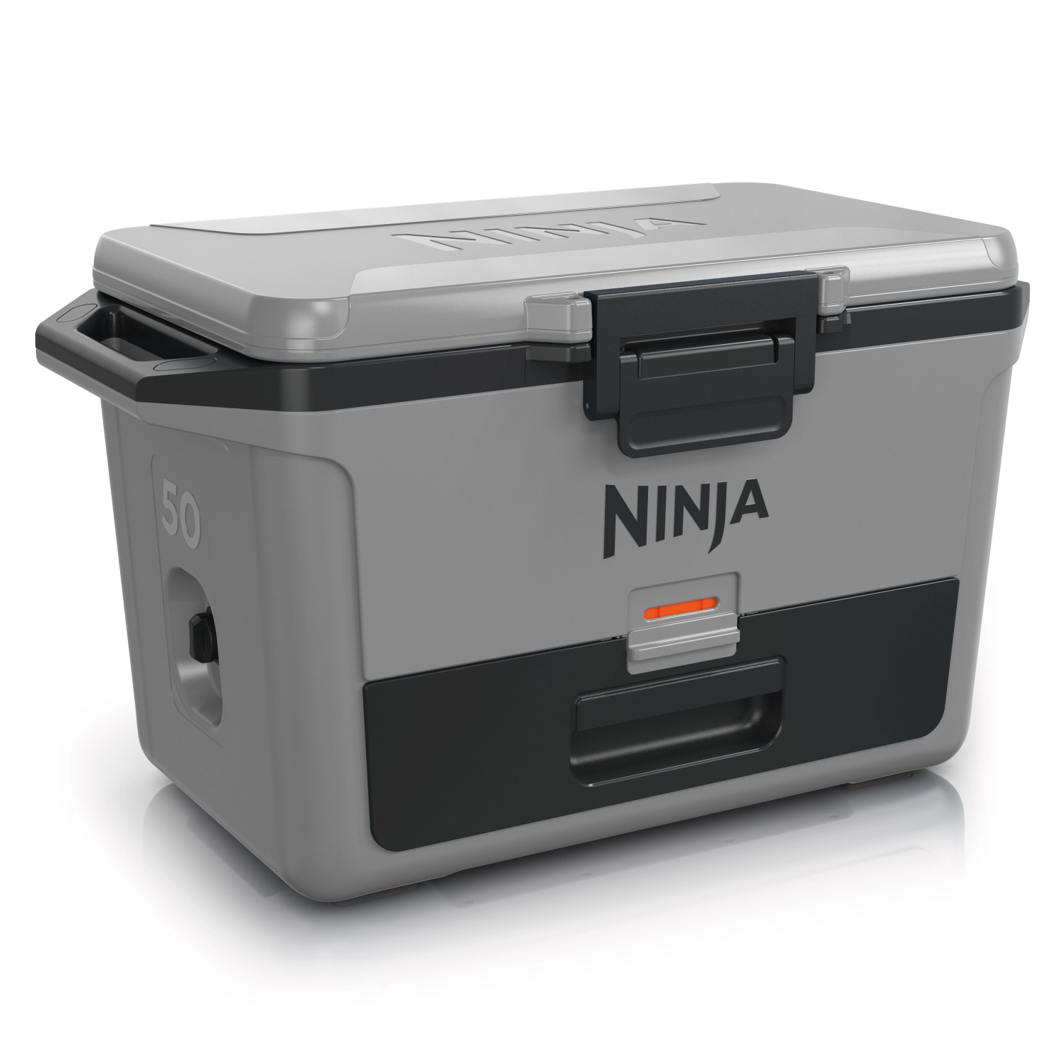 Ninja Kühlbox FrostVault FB151EUGY mit Trockenzone Schiefergrau 47 l