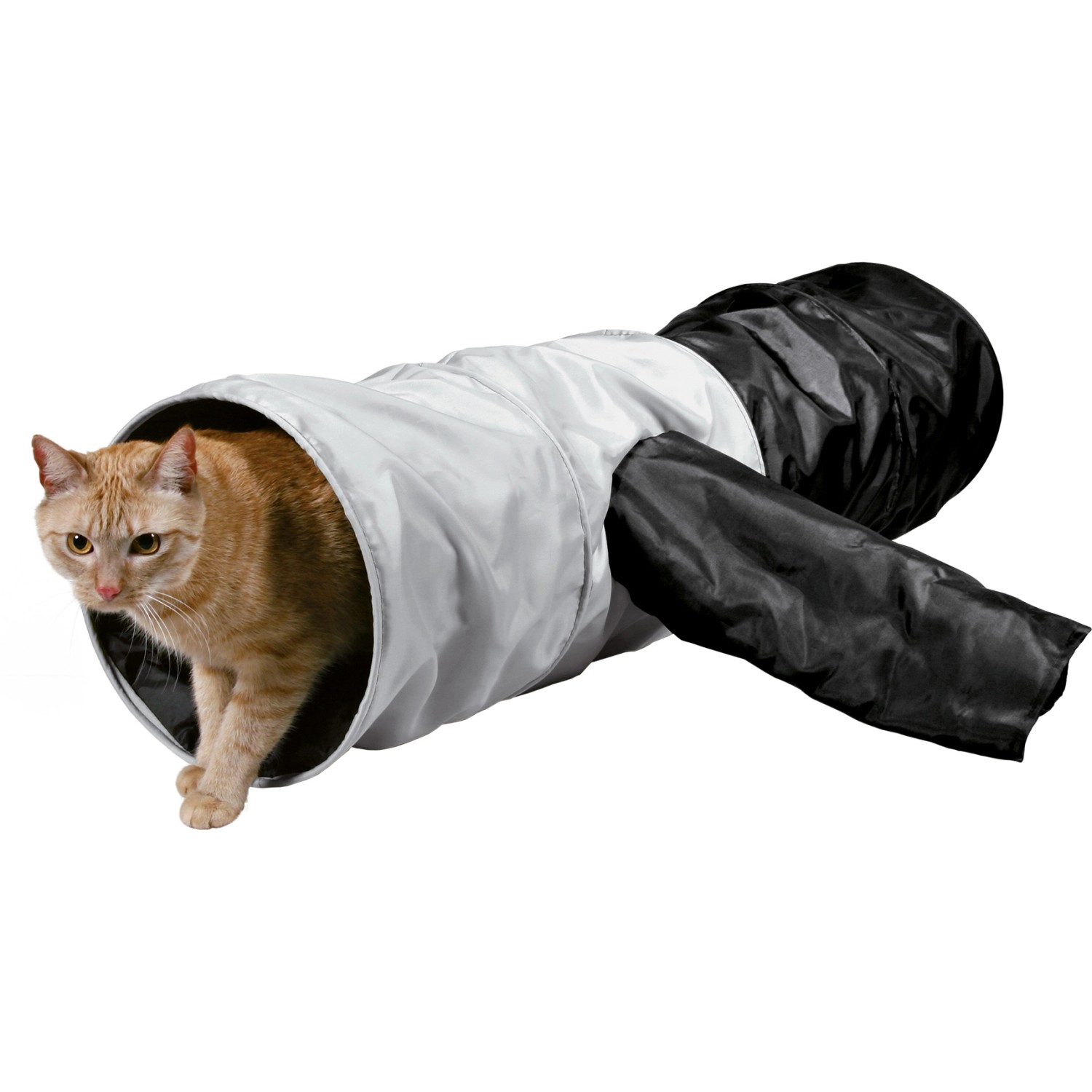 Katze im Trixie Spieltunnel aus Polyester, ø 30 cm x 115 cm, mit vier Eingängen.