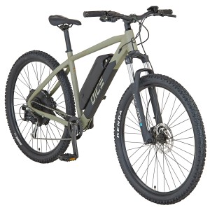 Prophete E-Bike MTB Dice 2.0, moosgrau matt, 29 Zoll. Hardtail E-Mountainbike mit Hinterradmotor und Akku.