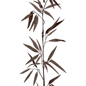 Asiatische Bambus Tapete in Schwarz-Weiß für Bad & Schlafzimmer im Wellness Stil.