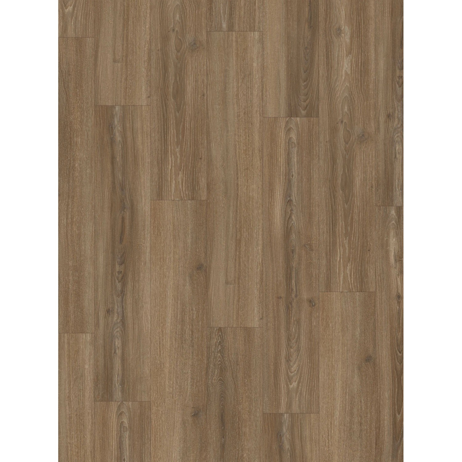 Parador Laminatbodenmuster Basic 600 Eiche Studioline Braun
