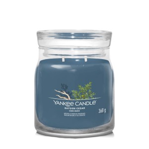 Yankee Candle Bayside Cedar Duftkerze im Glas, blau, 368g.