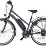 Fischer E-Bike Trekking ETD 1806: Graues E-Bike mit Gepäckträger und Akku am Rahmen.