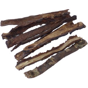 Proflora Seemandelbaum Rinde (8 Stk.) zur Wasseraufbereitung im Aquarium.