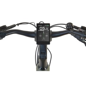 Nahaufnahme des Lenkers vom Prophete Trekking E-Bike Entdecker 4.0 mit TFT-Display.