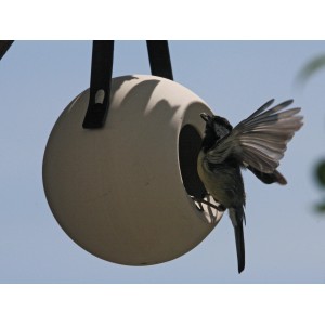 SingingFriend Vogelhaus Lisa Grey mit Meise beim Anflug auf den Vogelfutterspender.
