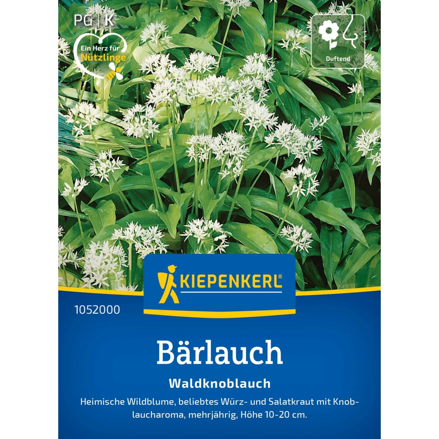 Kiepenkerl Profi-Line Saatgut Bärlauch Waldknoblauch