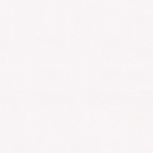 Weiße, glatte Bricoflor Renoviervlies Tapete zum Überstreichen für Wohn- und Schlafzimmer.