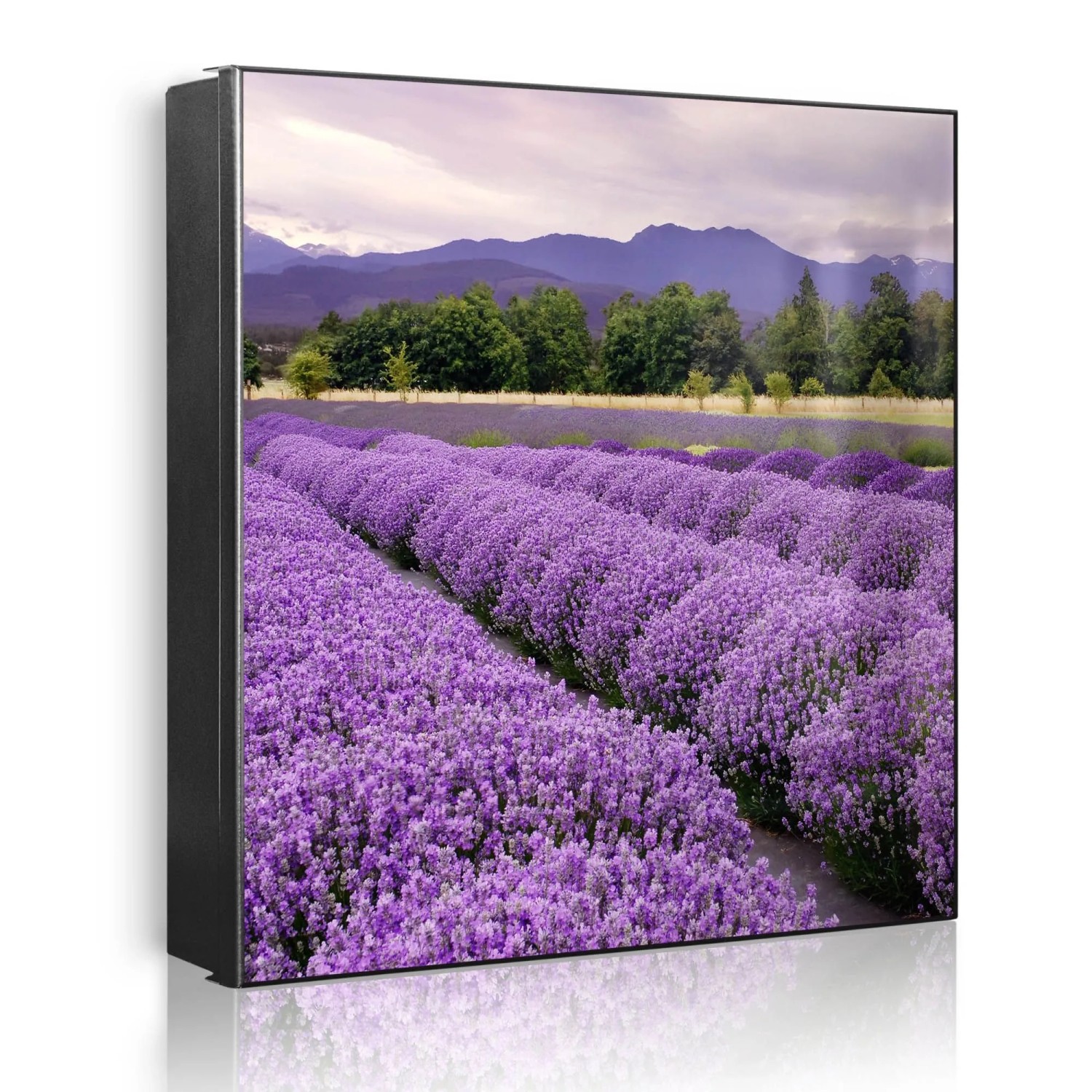 Banjado Großer Schlüsselkasten Metall 30x30cm Schwarz Scharnier Links 50 Haken Beschreibbar Magnetisch Motiv Lavendel 1