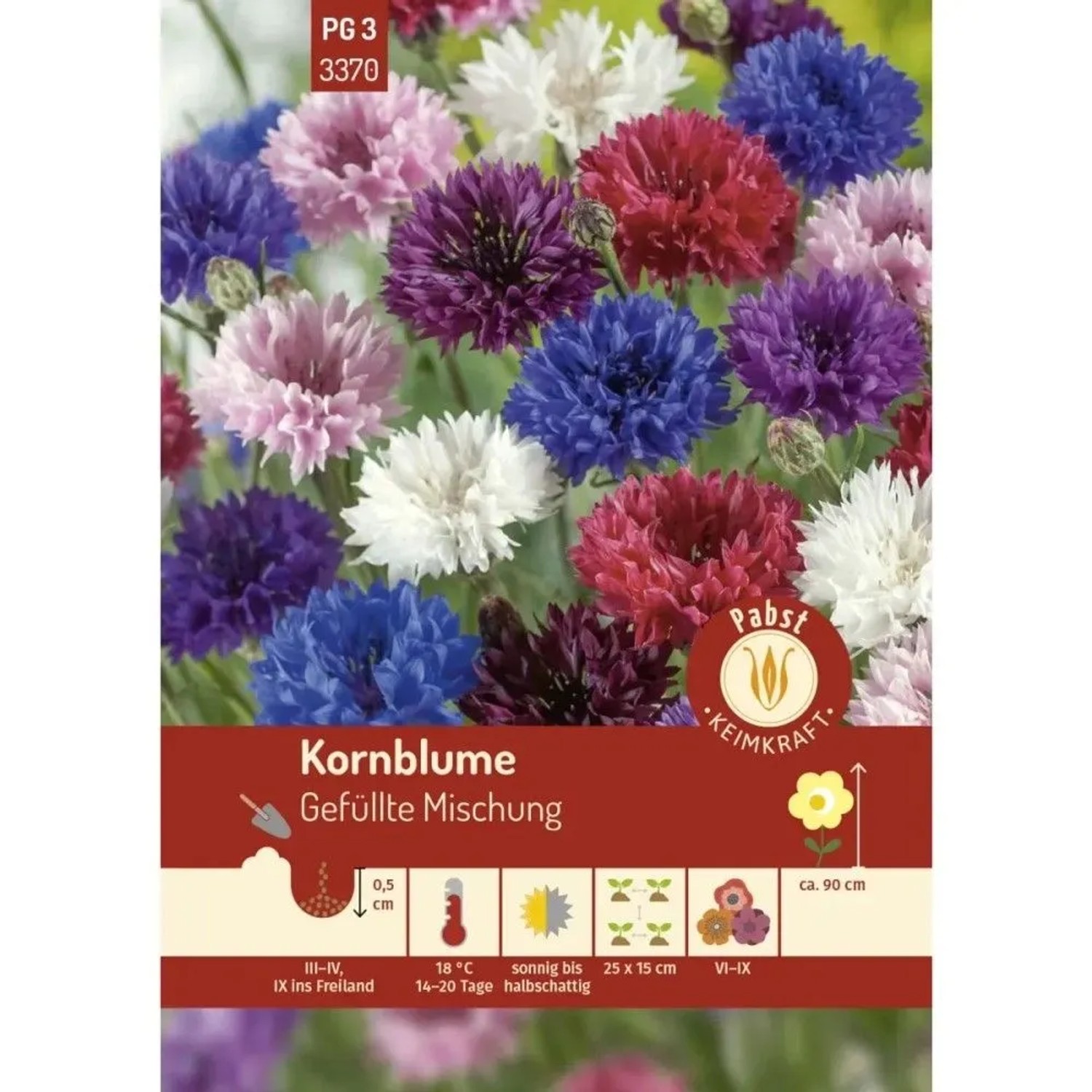 Pabst Keimkraft Kornblume Gefüllte Mischung Saatgut