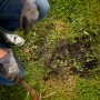 Lücken im Rasen ausbessern mit Compo Saat Rasen-Nachsaat. Grüne Rasenreparatur mit Harke.