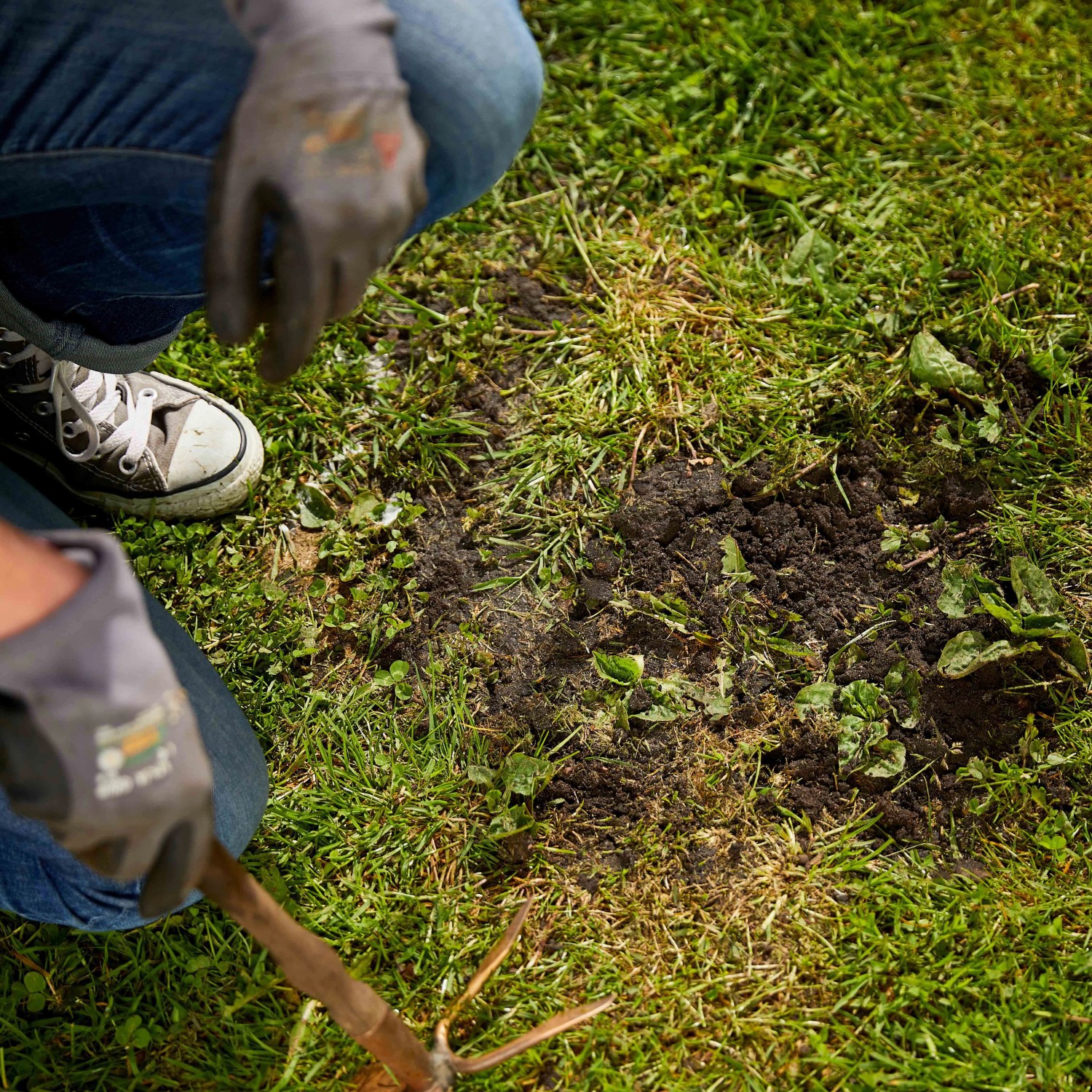 Lücken im Rasen ausbessern mit Compo Saat Rasen-Nachsaat. Grüne Rasenreparatur mit Harke.