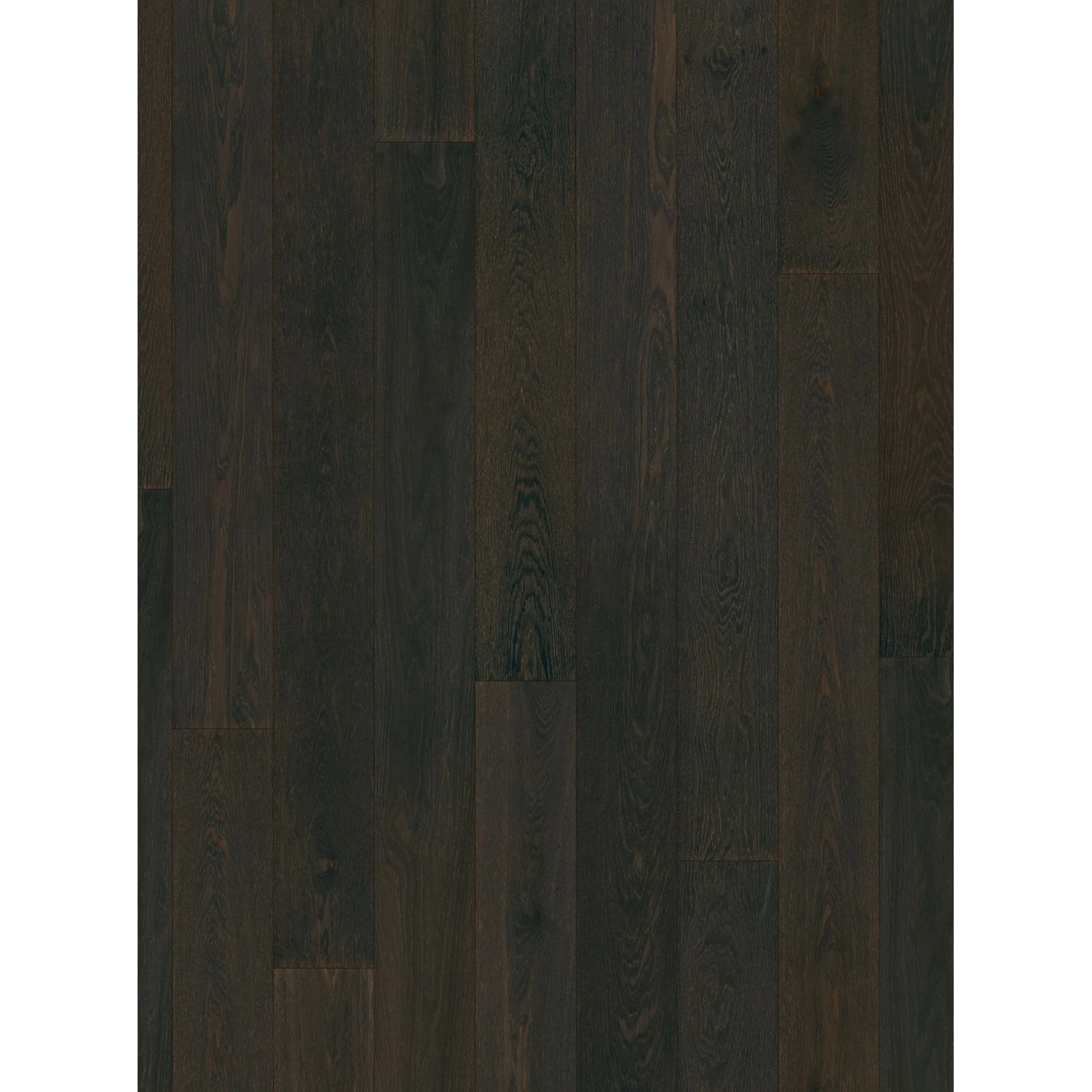 Parador Parkettmuster 3060 Natur Eiche Pinot Schwarz-Braun Lackiert Matt