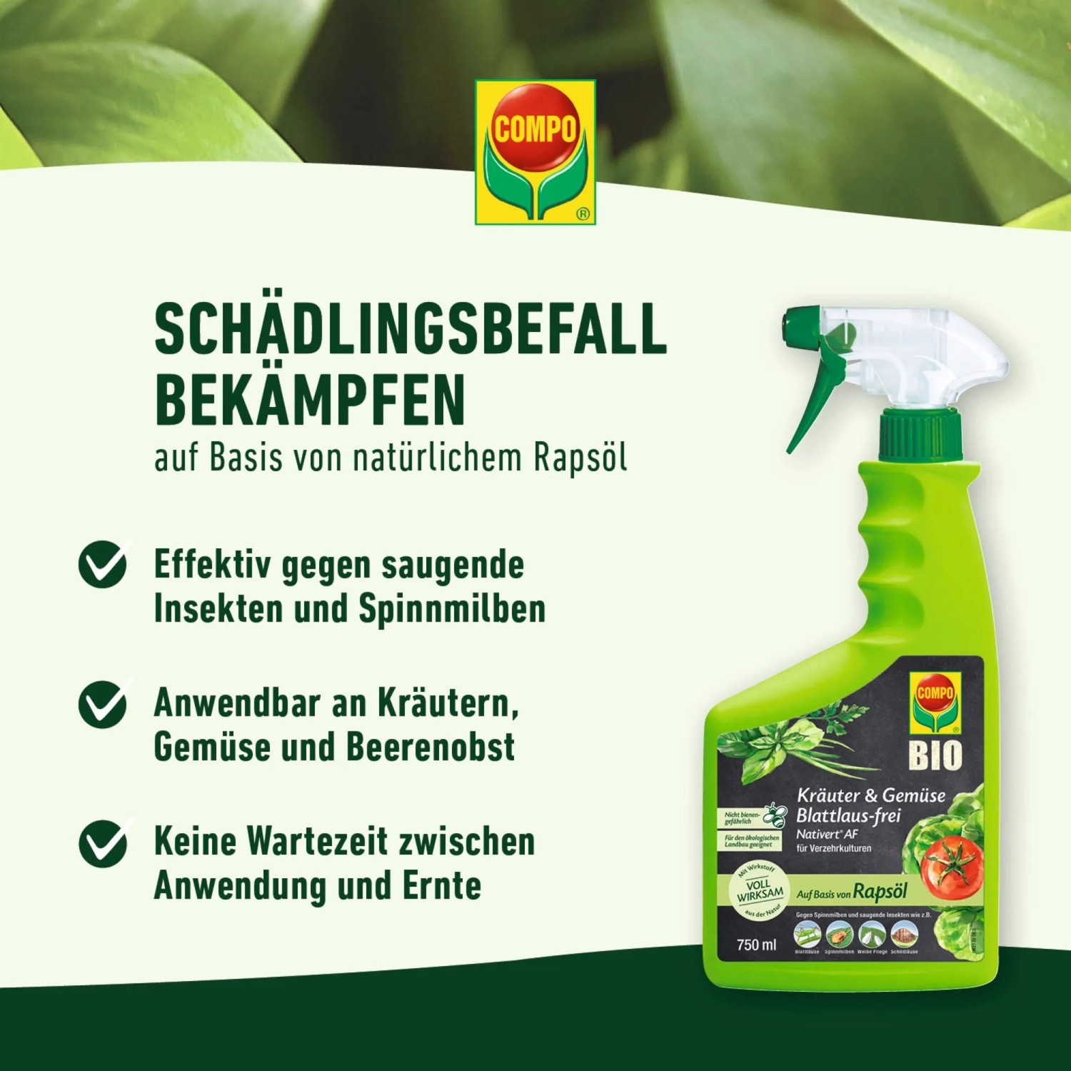 Compo Blattlaus-frei für Kräuter & Gemüse, 750ml Flasche. Bekämpft Schädlinge auf natürlicher Basis.