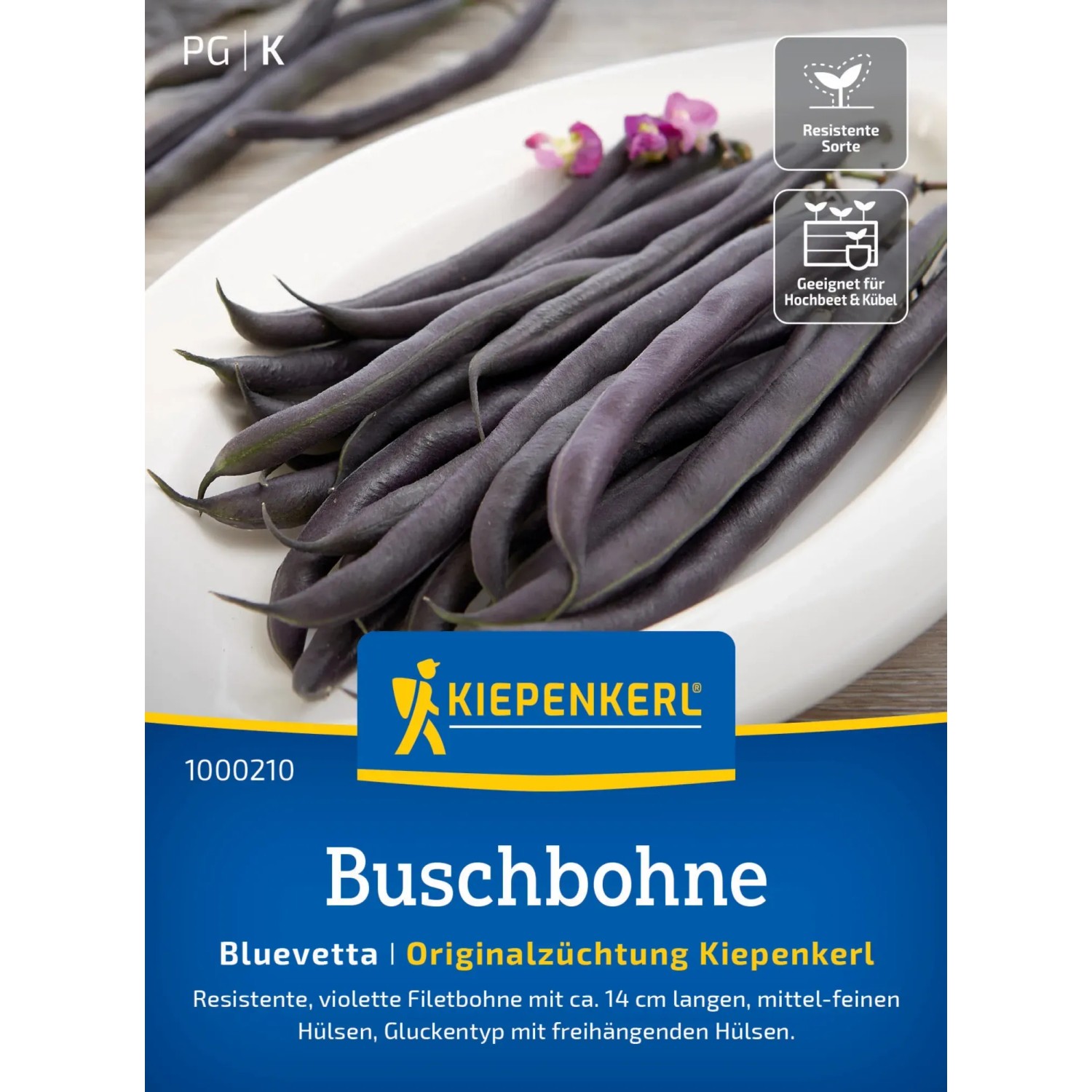 Kiepenkerl Buschbohnen Bluevetta