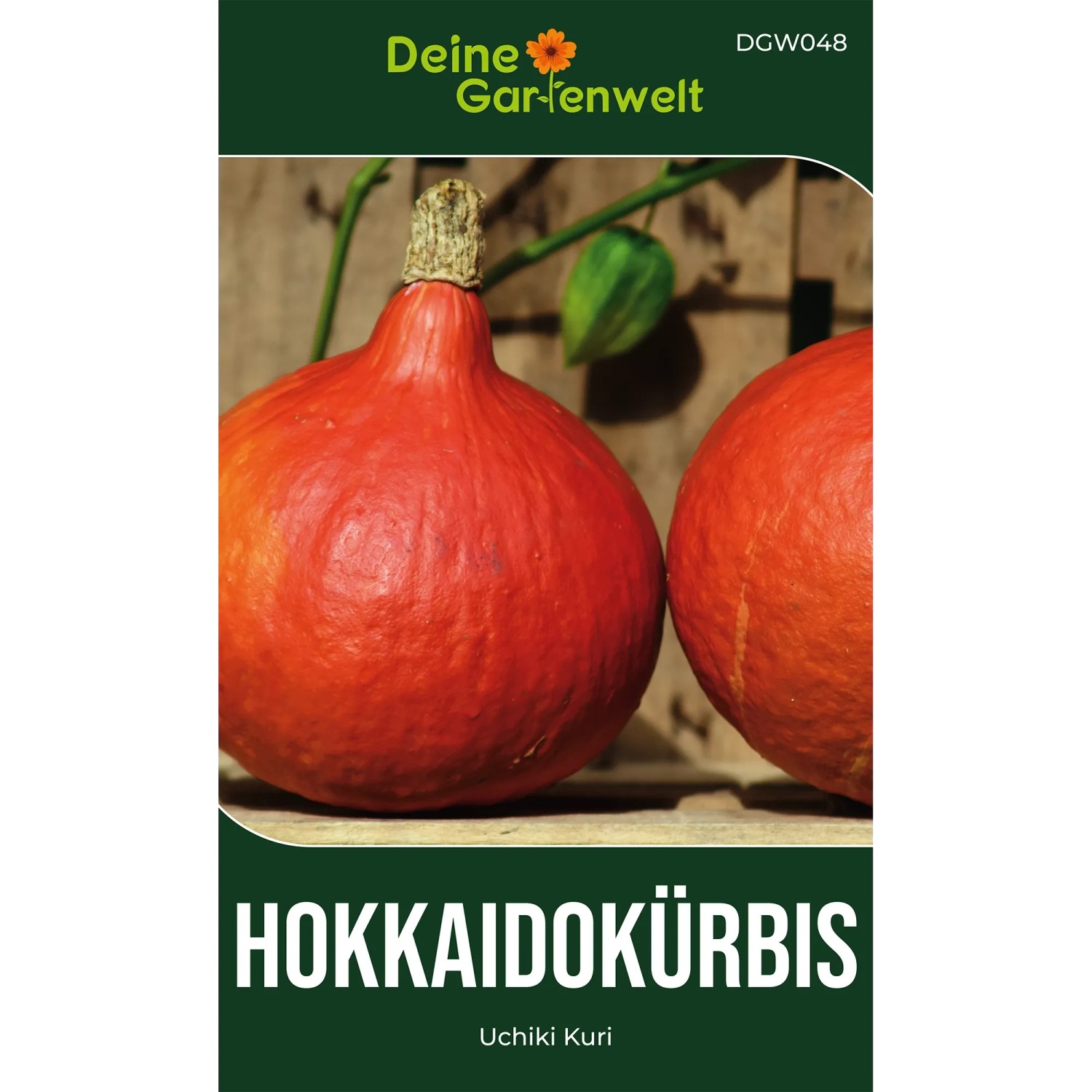 Deine Gartenwelt Hokkaido Kürbis Uchiki Kuri Samen