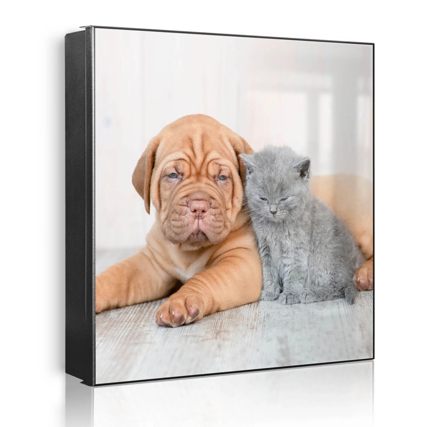 Banjado Großer Schlüsselkasten Metall 30x30cm Schwarz Scharnier Rechts 32 Haken Beschreibbar Magnetisch Motiv Hund Und Katze