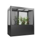 Moderner Biohort Gewächshausaufsatz Florentina in Quarzgrau-Metallic auf Hochbeet mit Tomatenpflanzen. Zubehör für Garten.