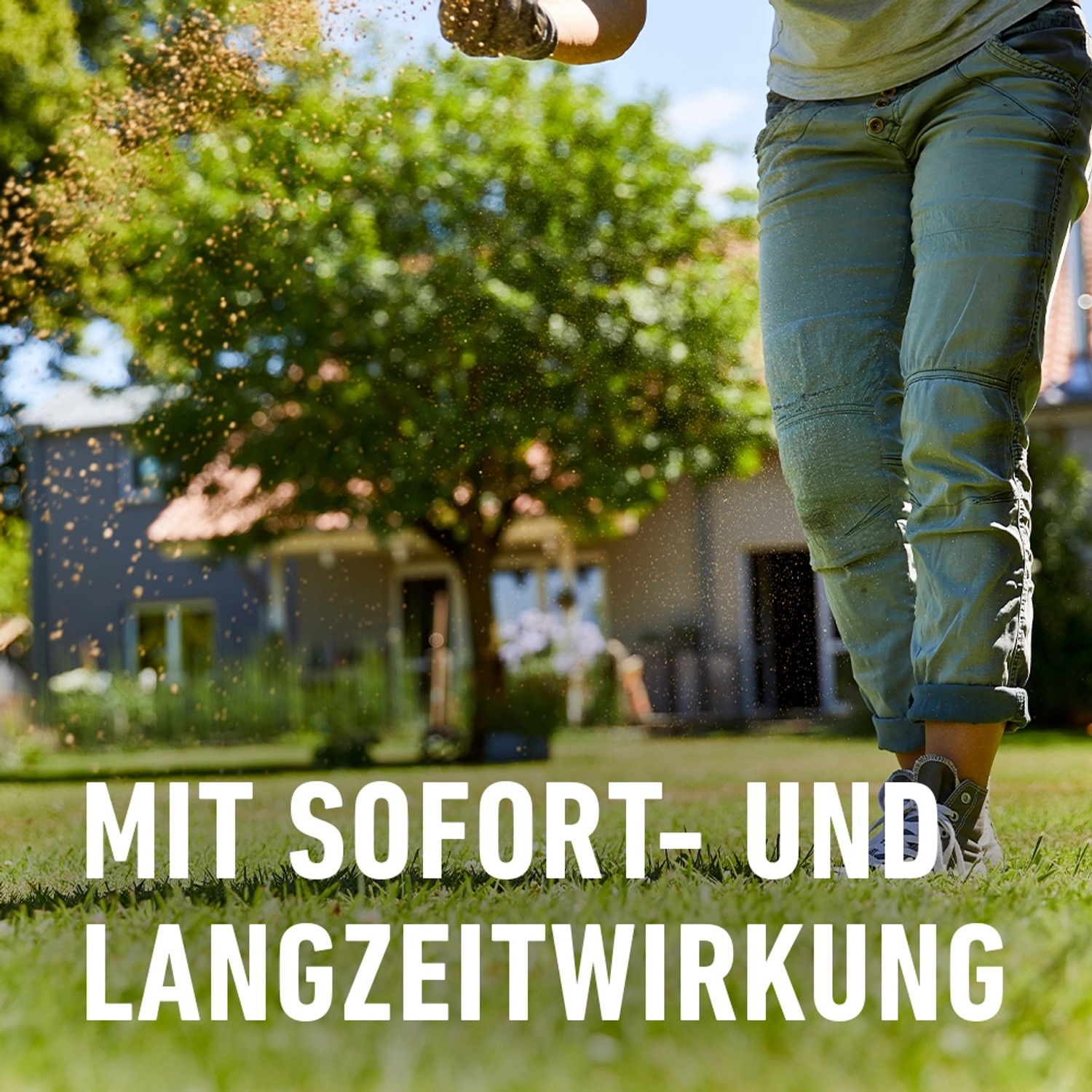 Anwendung von Compo BIO Rasendünger für einen grünen, dichten Rasen. Sofort- und Langzeitwirkung.